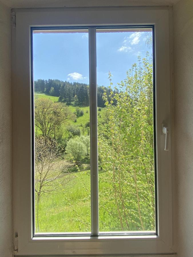 Ferienhaus Rehblick Rockeskyll Экстерьер фото